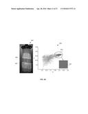 EXTRACTION OF IMAGE FEATURE DATA FROM IMAGES diagram and image