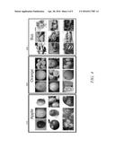 HIERARCHICAL DEEP CONVOLUTIONAL NEURAL NETWORK FOR IMAGE CLASSIFICATION diagram and image