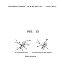 METHOD FOR DISTINGUISHING PULMONARY ARTERY AND PULMONARY VEIN, AND METHOD     FOR QUANTIFYING BLOOD VESSELS USING SAME diagram and image