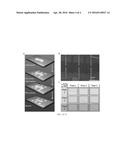 CHARGE COUPLED DEVICE BASED ON ATOMICALLY LAYERED VAN DER WAALS SOLID     STATE FILM FOR OPTO-ELECTRONIC MEMORY AND IMAGE CAPTURE diagram and image