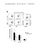 COMPOSITIONS AND METHODS FOR THE STUDY AND TREATMENT OF ACUTE KIDNEY     INJURY diagram and image