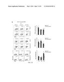 COMPOSITIONS AND METHODS FOR THE STUDY AND TREATMENT OF ACUTE KIDNEY     INJURY diagram and image