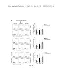 COMPOSITIONS AND METHODS FOR THE STUDY AND TREATMENT OF ACUTE KIDNEY     INJURY diagram and image