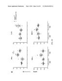 COMPOSITIONS AND METHODS FOR THE STUDY AND TREATMENT OF ACUTE KIDNEY     INJURY diagram and image