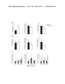 COMPOSITIONS AND METHODS FOR THE STUDY AND TREATMENT OF ACUTE KIDNEY     INJURY diagram and image