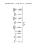 Monitoring Activity of a User in Locomotion on Foot diagram and image