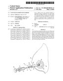 CAVITY-FILLING BIOPSY SITE MARKERS diagram and image