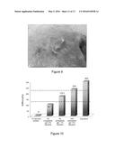 Hydrogel Pressure Sealant System diagram and image