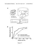 Hydrogel Pressure Sealant System diagram and image