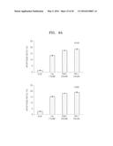 BENZOTHIAZOLE DERIVATIVES AND A USE THEREOF FOR THE TREATMENT OF CANCER diagram and image