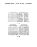 Novel Suicidal LSD1 Inhibitors Targeting SOX2-Expressing Cancer Cells diagram and image