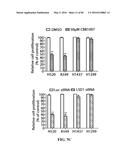 Novel Suicidal LSD1 Inhibitors Targeting SOX2-Expressing Cancer Cells diagram and image