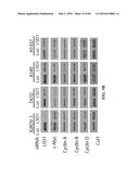 Novel Suicidal LSD1 Inhibitors Targeting SOX2-Expressing Cancer Cells diagram and image