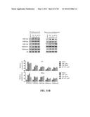 Novel Suicidal LSD1 Inhibitors Targeting SOX2-Expressing Cancer Cells diagram and image