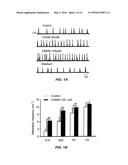 Method of Inhibition of Respiratory Depression Using Positive Allosteric     AMPA Receptor Modulators diagram and image