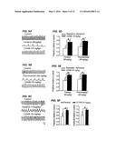 Method of Inhibition of Respiratory Depression Using Positive Allosteric     AMPA Receptor Modulators diagram and image