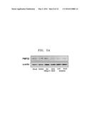 PHARMACEUTICAL COMPOSITION FOR TREATING DISEASE ASSOCIATED WITH     DEMYELINATION OF NEURONS AND METHOD OF USING THE PHARMACEUTICAL     COMPOSITION diagram and image