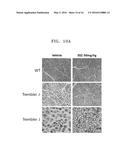 PHARMACEUTICAL COMPOSITION FOR TREATING DISEASE ASSOCIATED WITH     DEMYELINATION OF NEURONS AND METHOD OF USING THE PHARMACEUTICAL     COMPOSITION diagram and image