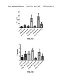 USE OF ADENOSINE ASPARTATE IN THE DIFFERENTIAL ACTIVATION OF MACROPHAGES     IN INFLAMMATORY-FIBROGENIC PROCESSES AND ITS REVERSAL diagram and image