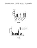 USE OF ADENOSINE ASPARTATE IN THE DIFFERENTIAL ACTIVATION OF MACROPHAGES     IN INFLAMMATORY-FIBROGENIC PROCESSES AND ITS REVERSAL diagram and image