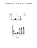 USE OF ADENOSINE ASPARTATE IN THE DIFFERENTIAL ACTIVATION OF MACROPHAGES     IN INFLAMMATORY-FIBROGENIC PROCESSES AND ITS REVERSAL diagram and image