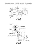 METHODS FOR ENGINEERING ALLOGENEIC AND HIGHLY ACTIVE T CELL FOR     IMMUNOTHERAPHY diagram and image