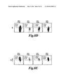 METHODS FOR ENGINEERING ALLOGENEIC AND HIGHLY ACTIVE T CELL FOR     IMMUNOTHERAPHY diagram and image