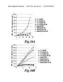 METHODS FOR ENGINEERING ALLOGENEIC AND HIGHLY ACTIVE T CELL FOR     IMMUNOTHERAPHY diagram and image