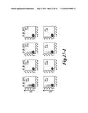 METHODS FOR ENGINEERING ALLOGENEIC AND HIGHLY ACTIVE T CELL FOR     IMMUNOTHERAPHY diagram and image