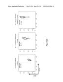 METHODS FOR ENGINEERING ALLOGENEIC AND HIGHLY ACTIVE T CELL FOR     IMMUNOTHERAPHY diagram and image