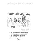 METHODS FOR ENGINEERING HIGHLY ACTIVE T CELL FOR IMMUNOTHERAPHY diagram and image