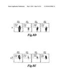 METHODS FOR ENGINEERING HIGHLY ACTIVE T CELL FOR IMMUNOTHERAPHY diagram and image