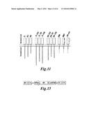 METHODS FOR ENGINEERING HIGHLY ACTIVE T CELL FOR IMMUNOTHERAPHY diagram and image