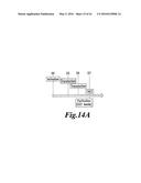 METHODS FOR ENGINEERING HIGHLY ACTIVE T CELL FOR IMMUNOTHERAPHY diagram and image