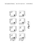 METHODS FOR ENGINEERING HIGHLY ACTIVE T CELL FOR IMMUNOTHERAPHY diagram and image