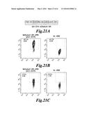 METHODS FOR ENGINEERING HIGHLY ACTIVE T CELL FOR IMMUNOTHERAPHY diagram and image