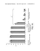 Treating renal cancer with a whole, leech saliva extract diagram and image