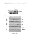 Pharmaceutical compositions comprising 8-substituted dibenzylbutyrolactone     lignans diagram and image