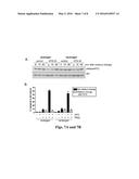 Pharmaceutical compositions comprising 8-substituted dibenzylbutyrolactone     lignans diagram and image