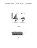 Pharmaceutical compositions comprising 8-substituted dibenzylbutyrolactone     lignans diagram and image