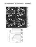 METHOD FOR PROMOTING BONE GROWTH USING ACTIVIN-ACTRIIA ANTAGONISTS diagram and image