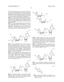 Factor VIII Conjugates diagram and image