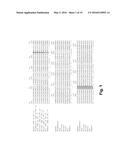 COAGULATION FACTOR VII POLYPEPTIDES diagram and image