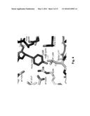 COAGULATION FACTOR VII POLYPEPTIDES diagram and image