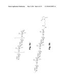 COAGULATION FACTOR VII POLYPEPTIDES diagram and image