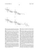 COAGULATION FACTOR VII POLYPEPTIDES diagram and image