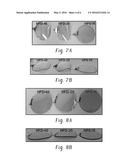 POLYCARBONATE COPOLYMER COMPOSITIONS FOR FORMING MOLDED MEDICAL ARTICLES     WITH THIN WALLS diagram and image