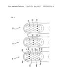 BEAUTY INSTRUMENT diagram and image