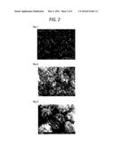 METHOD FOR MANUFACTURING SILVER PARTICLES diagram and image