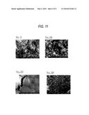 METHOD FOR MANUFACTURING SILVER PARTICLES diagram and image